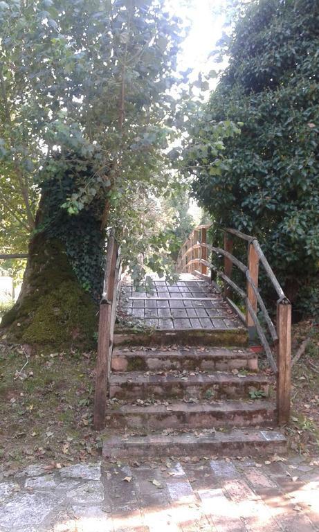 Il Vecchio Mulino Villa Massa Martana Kültér fotó